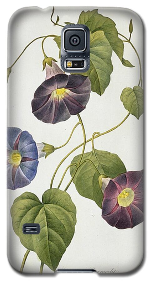 Illustration Galaxy S5 Case featuring the photograph Cypress Vine Ipomoea Quamoclit by Natural History Museum, London/science Photo Library