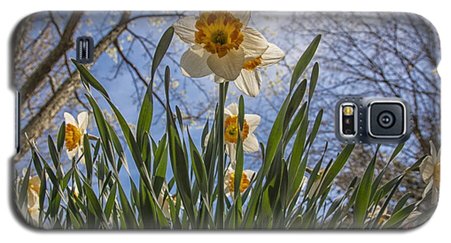 Daffodil Galaxy S5 Case featuring the photograph Daffodil Sun by Terry Rowe
