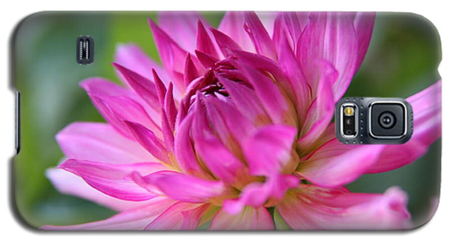 Dahlia Galaxy S5 Case featuring the photograph Dahlia by Lynn England