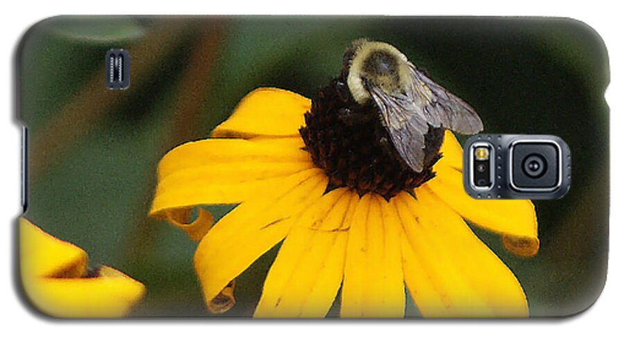 Black Eyed Susan Galaxy S5 Case featuring the photograph Daisy Bumble Bee by M Three Photos
