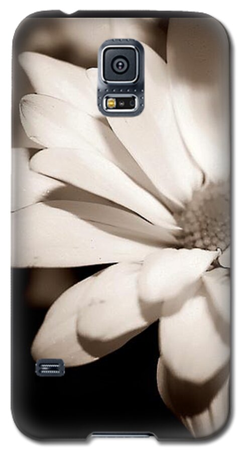 Flower Galaxy S5 Case featuring the photograph Daisy by Debra Forand