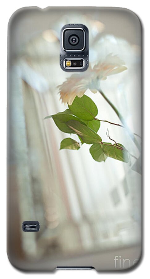 Mirror Galaxy S5 Case featuring the photograph Daisy in the mirror by Aiolos Greek Collections