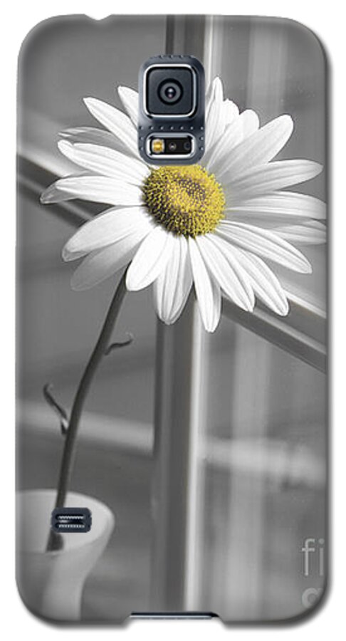 Daisy Galaxy S5 Case featuring the photograph Daisy in the Window by Diane Diederich
