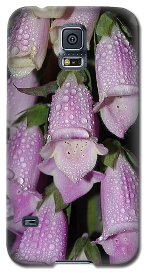 Flower Galaxy S5 Case featuring the photograph Damp Foxglove by Adria Trail