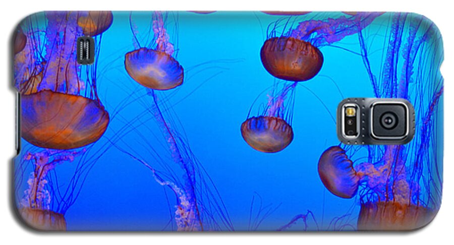 Jellyfish Galaxy S5 Case featuring the photograph Dance of the Jellyfish by Spencer Hughes
