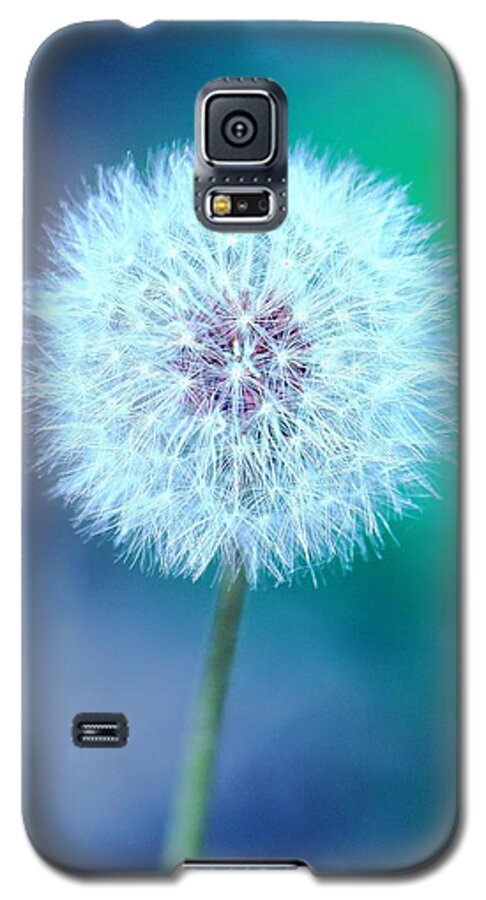 Dandelion Galaxy S5 Case featuring the photograph Dandelion Blue by Elizabeth Budd