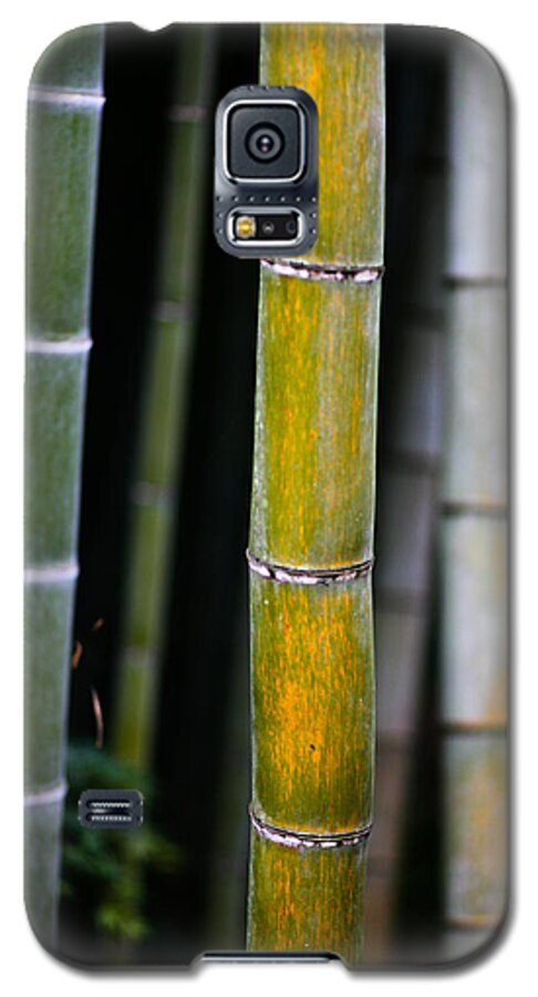 Bamboo Galaxy S5 Case featuring the photograph Dark Bamboo by Brad Brizek