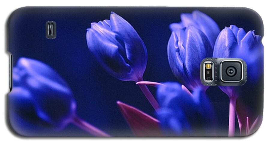 Dark Blue Tulips Galaxy S5 Case featuring the photograph Dark Blue Tulips by Silva Wischeropp
