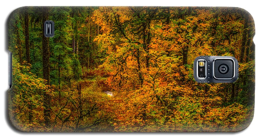 Silver Falls Galaxy S5 Case featuring the photograph Dark Forest by Dennis Bucklin