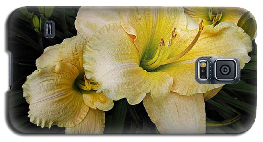 Day Lilies Galaxy S5 Case featuring the photograph Day lilies a short life by David Dehner