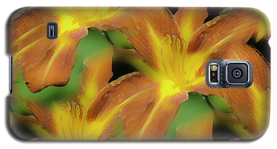 Daylilies Galaxy S5 Case featuring the photograph Daylily Magic by Sherri Meyer