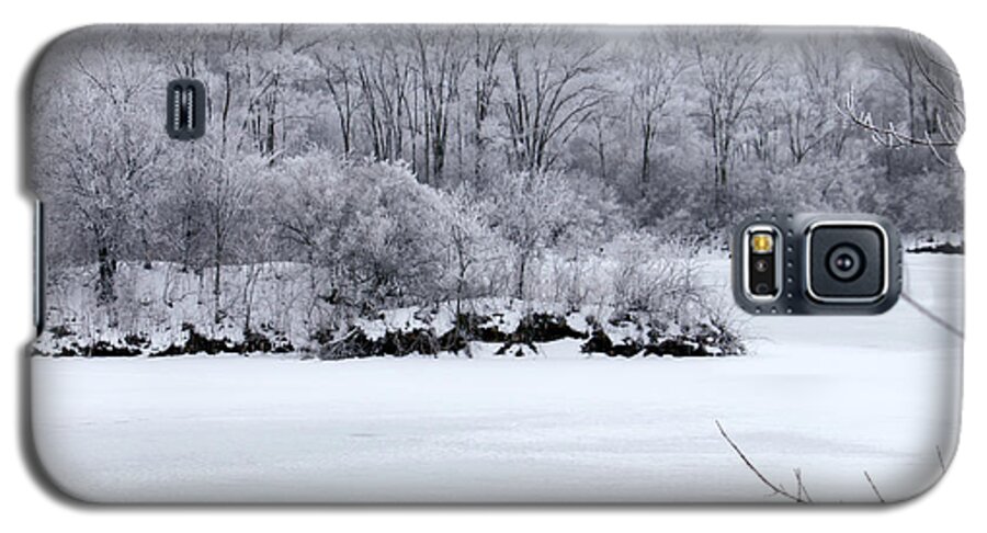 Winter Galaxy S5 Case featuring the photograph December Lake by Debbie Hart