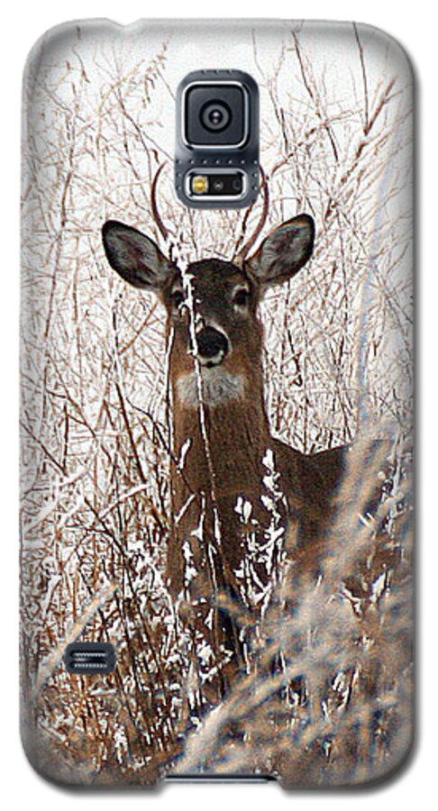Wildlife Galaxy S5 Case featuring the photograph Deer in Winter by William Selander