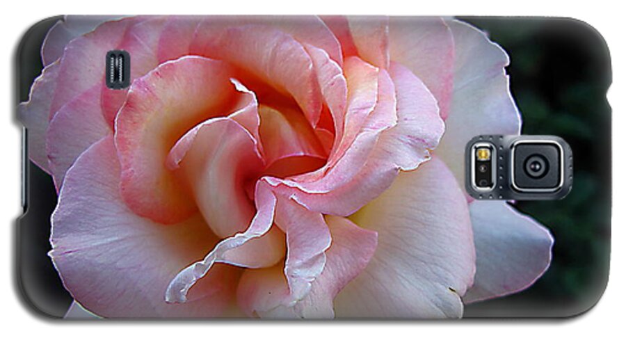 Rose Galaxy S5 Case featuring the photograph Delicate Pink by Joyce Dickens