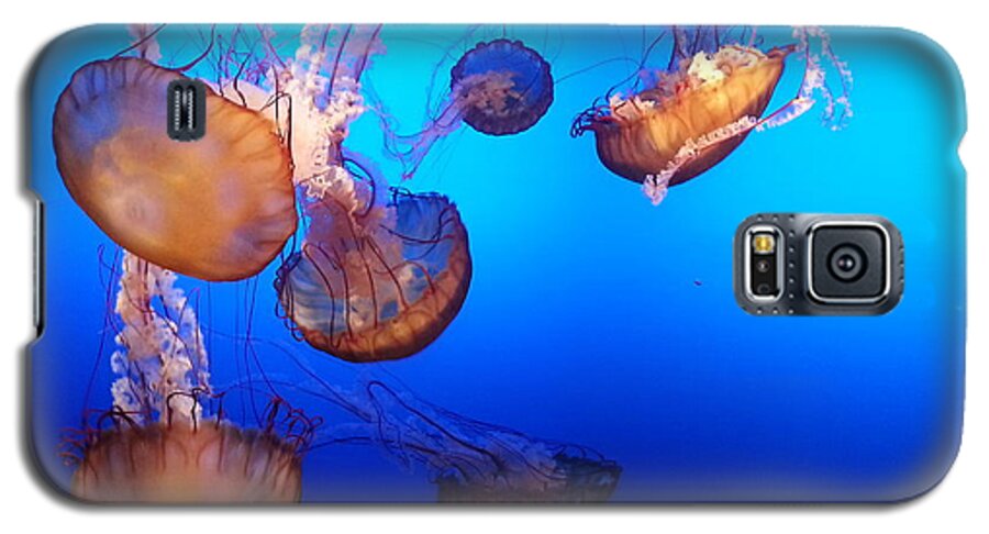 Jellyfish Galaxy S5 Case featuring the photograph Delicate Waltz by Caryl J Bohn