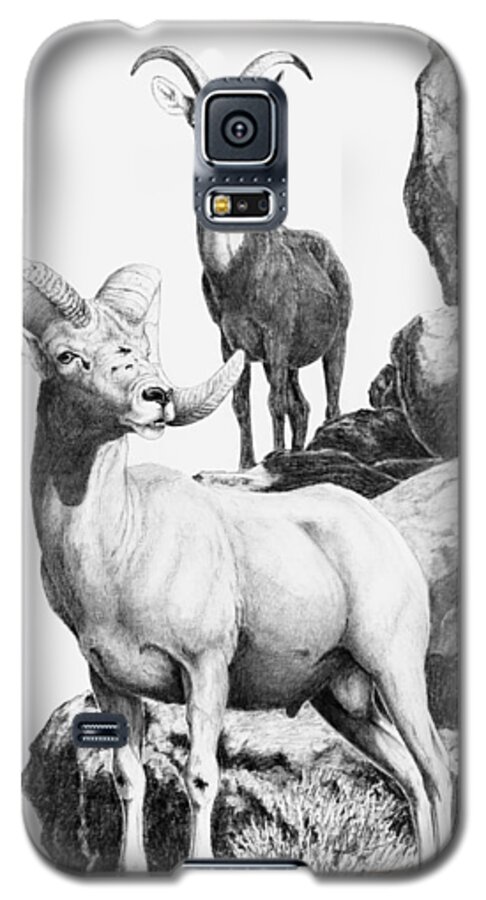Desert Bighorn Galaxy S5 Case featuring the drawing Desert Bighorns by Darcy Tate