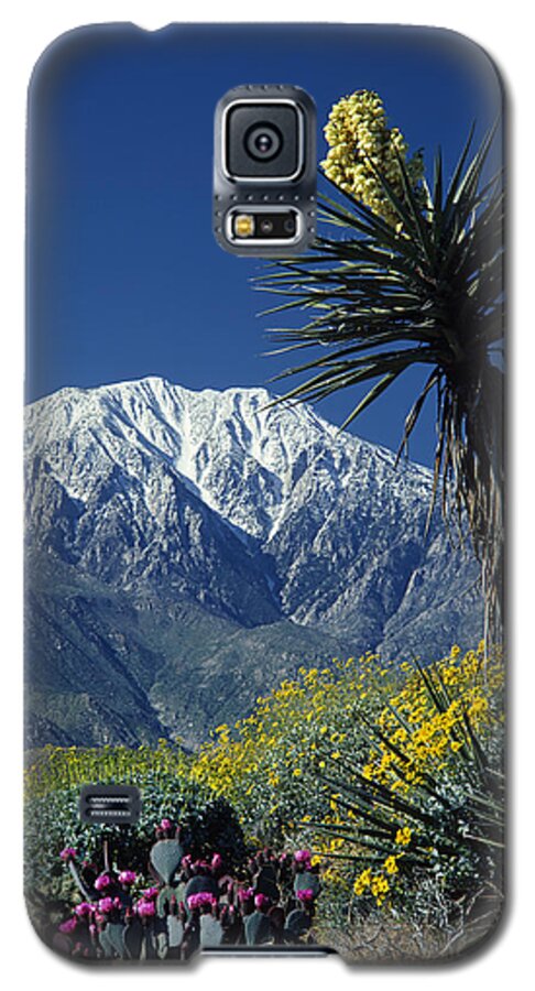 Desert Galaxy S5 Case featuring the photograph Desert Blooms by Ed Cooper Photography
