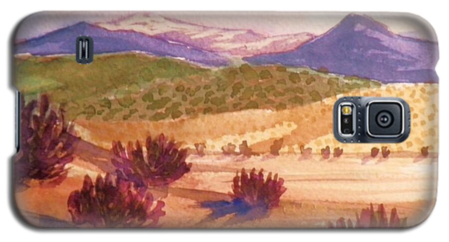 Desert Galaxy S5 Case featuring the painting Desert Contrasts by Suzanne McKay