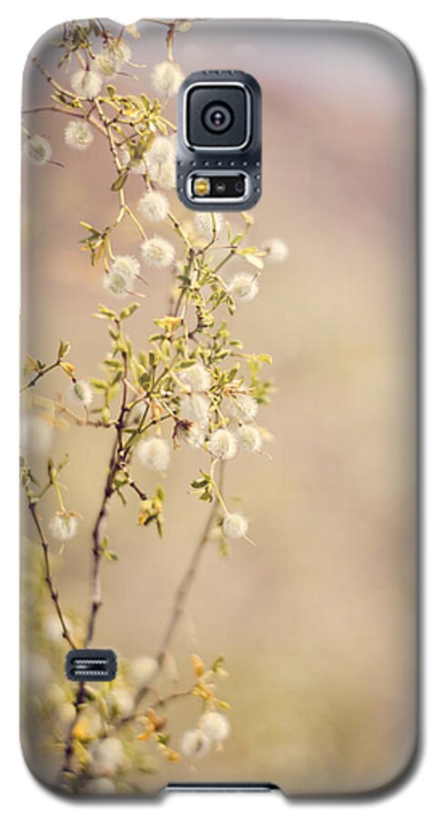 Creosote Galaxy S5 Case featuring the photograph Desert Delicates by Heather Applegate