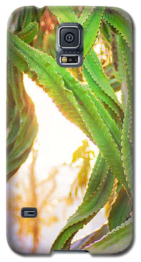 Desert Galaxy S5 Case featuring the photograph Desert Heat by Roselynne Broussard