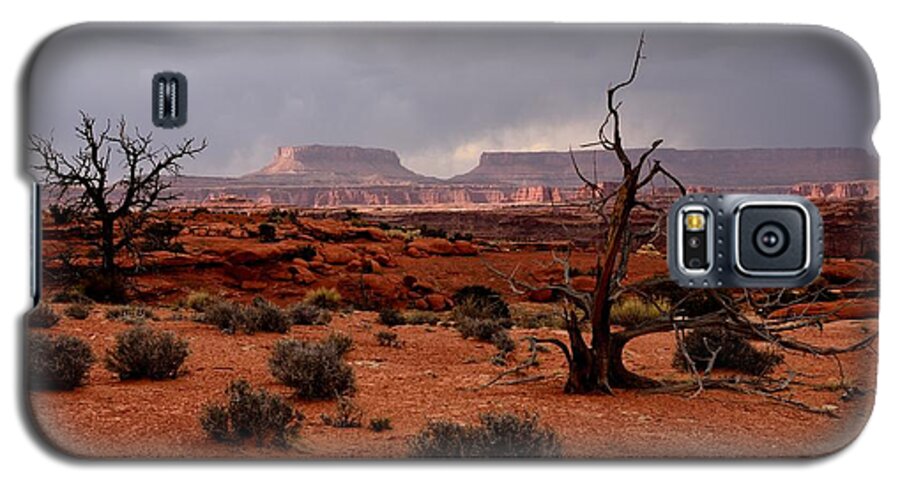 Canyonlands Galaxy S5 Case featuring the photograph Desert Light by Tranquil Light Photography