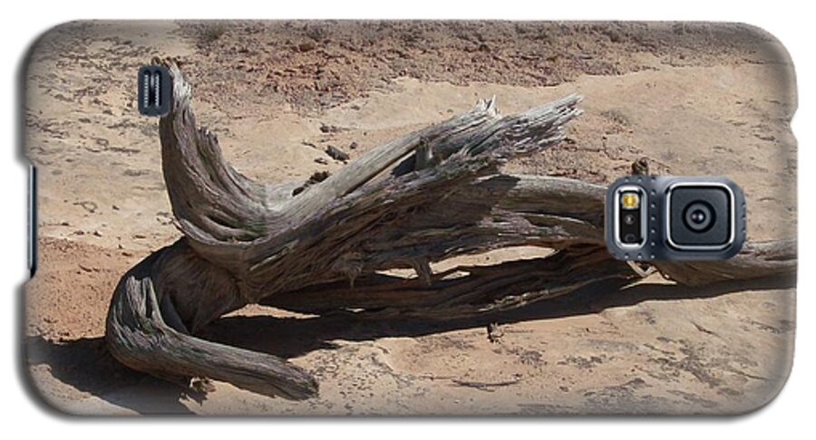 Landscape Galaxy S5 Case featuring the photograph Desert Wildwood by Fortunate Findings Shirley Dickerson