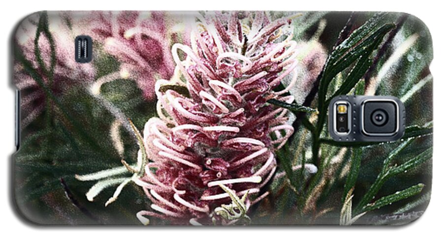 Grevillea Galaxy S5 Case featuring the photograph Dew Covered Grevillea by Cassandra Buckley