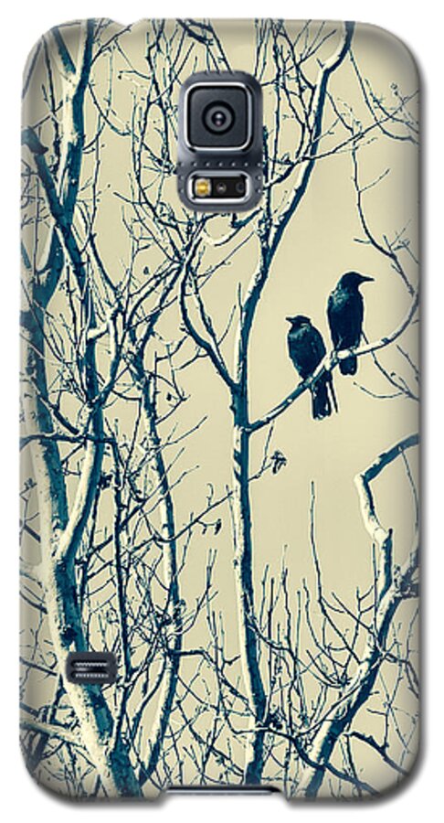 Blackbirds Galaxy S5 Case featuring the photograph Differing Views by Caitlyn Grasso