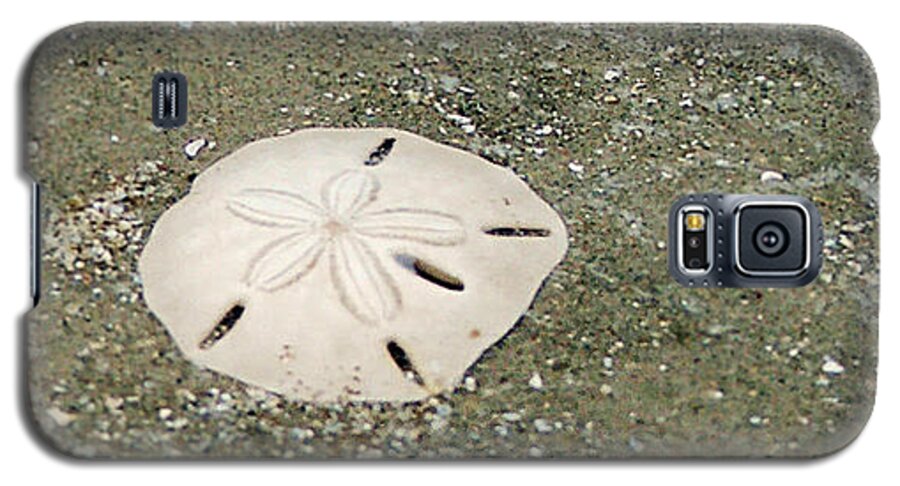 Sand Dollar Galaxy S5 Case featuring the photograph Pick Me Up by Melinda Ledsome