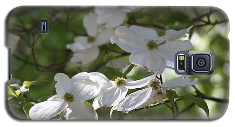 Dogwood Galaxy S5 Case featuring the photograph Dogwood Blossoms 3 by Cathy Lindsey