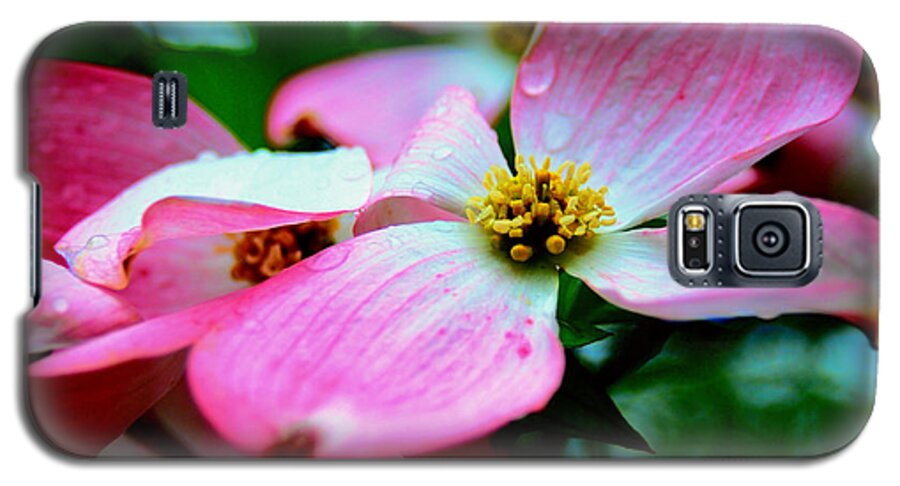 Dogwood Galaxy S5 Case featuring the photograph Dogwood Dew by Joseph Desiderio