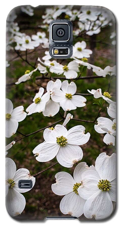 Dogwood Galaxy S5 Case featuring the photograph Dogwoods by Wayne Meyer