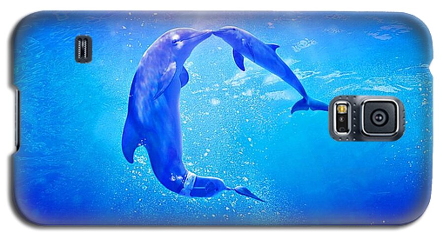 Dolphin Tale 2 Galaxy S5 Case featuring the photograph Dolphin Tale 2 by Movie Poster Prints