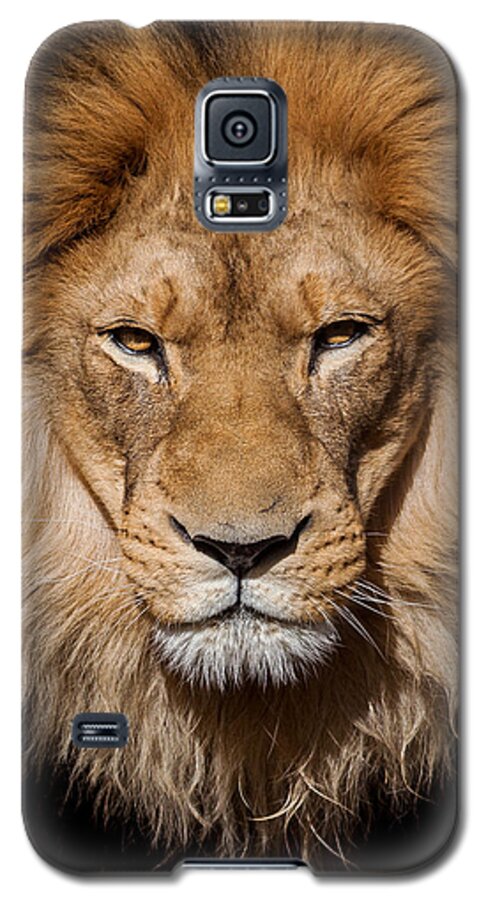 Nature Galaxy S5 Case featuring the photograph Don't Ask by Steven Reed