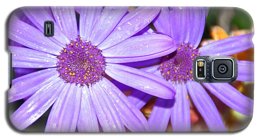 Flower Galaxy S5 Case featuring the photograph Double purple by Aimee L Maher ALM GALLERY
