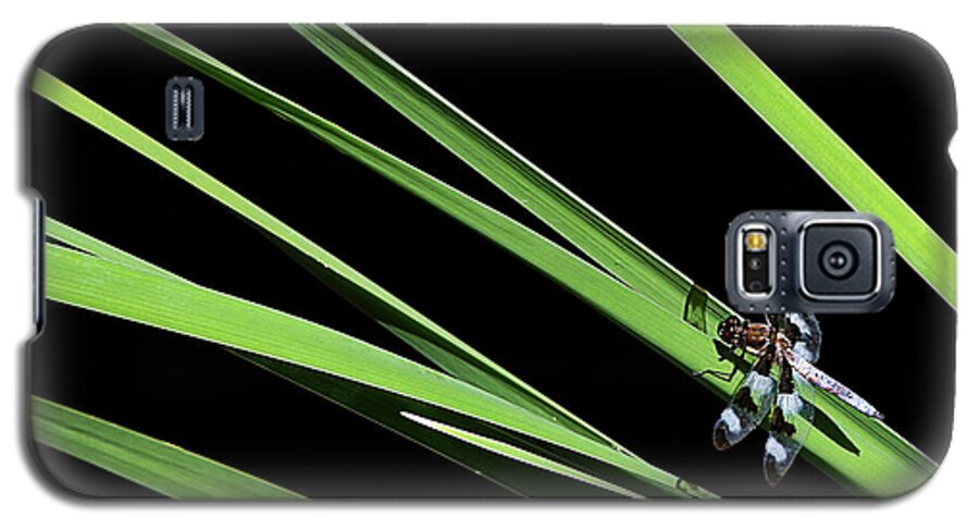Insect Galaxy S5 Case featuring the photograph Dragon Resting On Blades by Robert Woodward