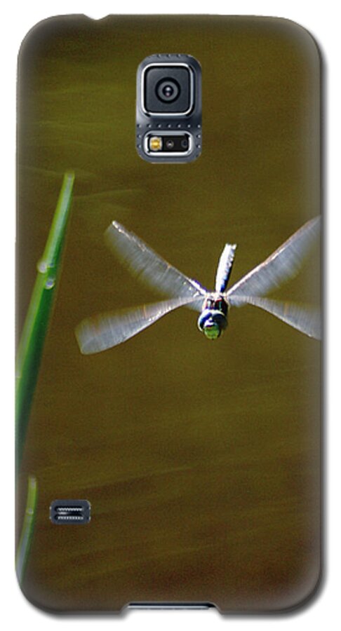 Dragonflies Galaxy S5 Case featuring the photograph Dragonflight by Ben Upham III