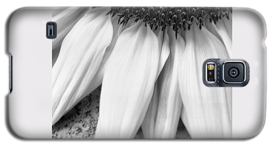 Wall Art Galaxy S5 Case featuring the photograph Drained and Still Beautiful by Charlie Cliques