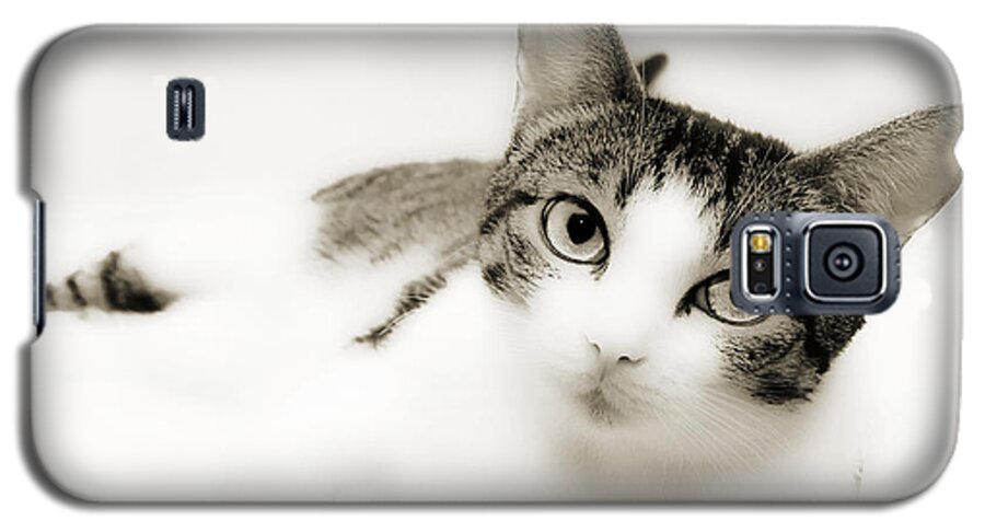 Cat Galaxy S5 Case featuring the photograph Dreamy Cat 2 by Andee Design