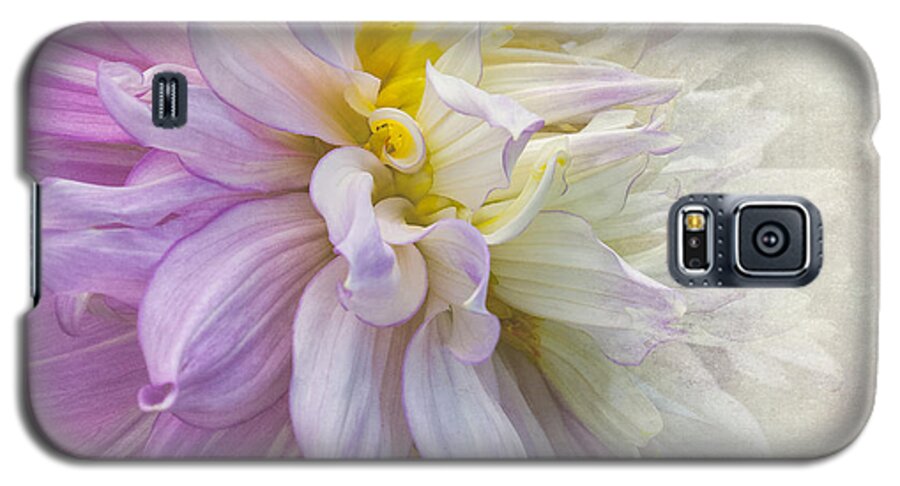 Dahlias Galaxy S5 Case featuring the photograph Dressed In Silk by Marilyn Cornwell
