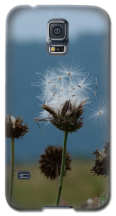 Jane Ford Galaxy S5 Case featuring the photograph Drifting Off by Jane Ford
