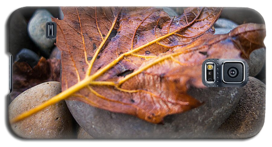 Leaf Galaxy S5 Case featuring the photograph Drying Leaf by Mike Lee