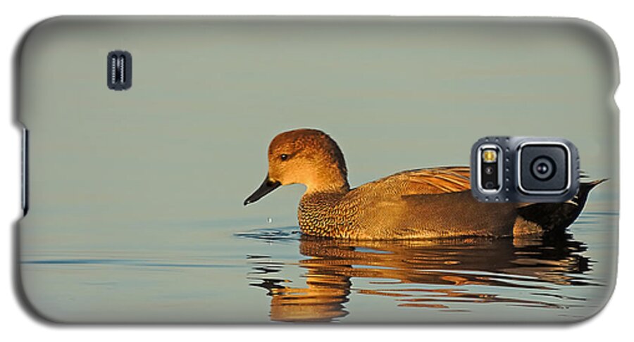Nature Galaxy S5 Case featuring the photograph Duck reflected by Robert Mitchell