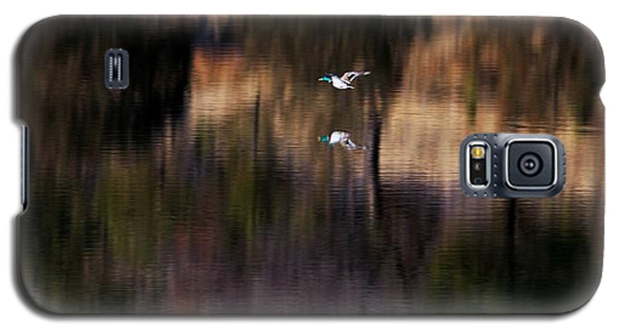 Mallard Galaxy S5 Case featuring the photograph Duck Scape 2 by Donald J Gray