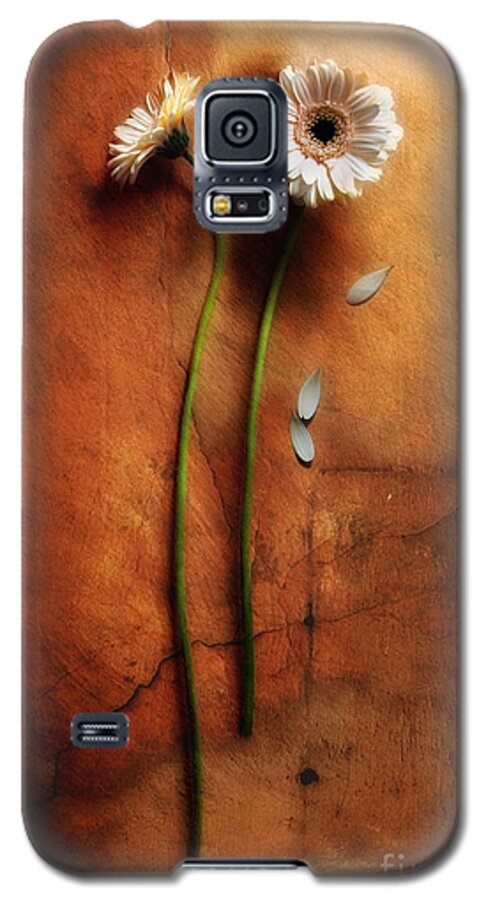 Gerbera Galaxy S5 Case featuring the photograph Duet by Jaroslaw Blaminsky