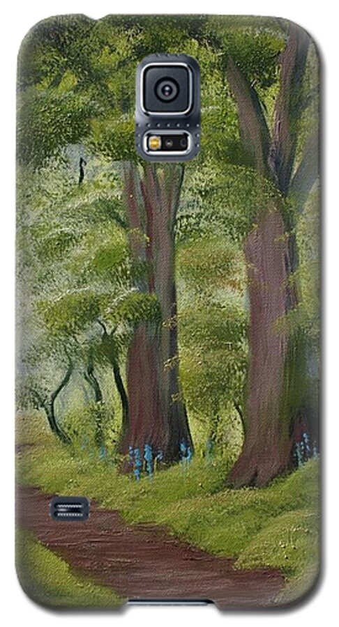 Painting Galaxy S5 Case featuring the painting Duff House Walk by Charles and Melisa Morrison