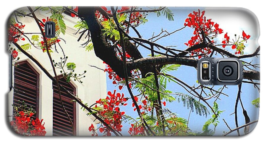 Key West Galaxy S5 Case featuring the photograph Duval Street Flame Tree by Valerie Reeves