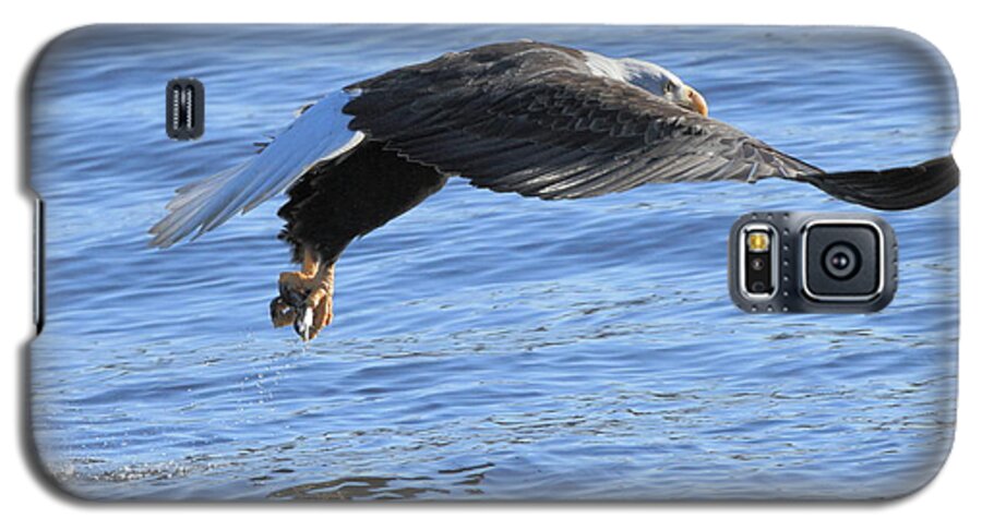 American Bald Eagle Galaxy S5 Case featuring the photograph Eagle Fishing by Coby Cooper