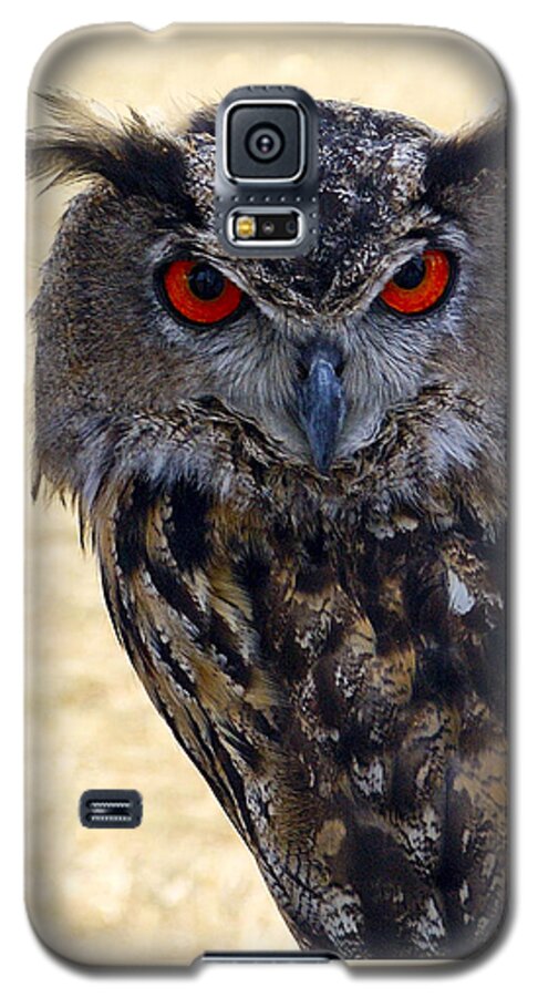 Flaco Galaxy S5 Case featuring the photograph Eagle Owl by Anthony Sacco