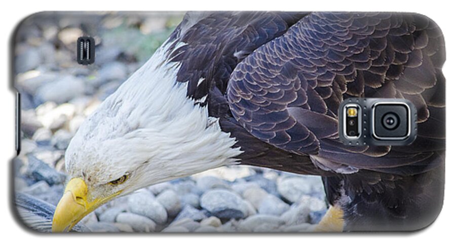 Eagle Galaxy S5 Case featuring the photograph Eagle by Spencer Hughes